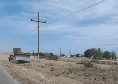 Exigen al DDR Mayo frenar deforestación