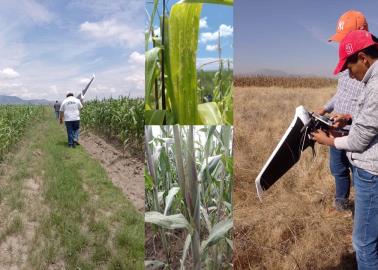 La Secretaria de Agricultura ofrece empleo con sueldo de m&aacute;s de 150 mil pesos mensuales