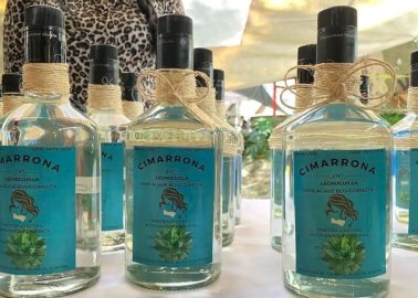 Álamos tendrá Cumbre del Agave