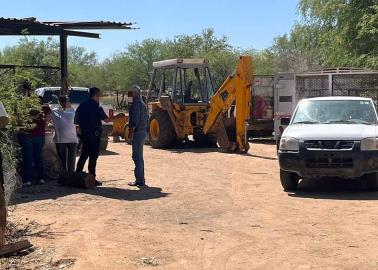 Fiscalía investiga muerte de animales en Hermosillo