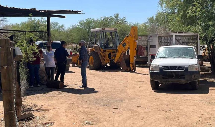 Fiscalía investiga muerte de animales en Hermosillo