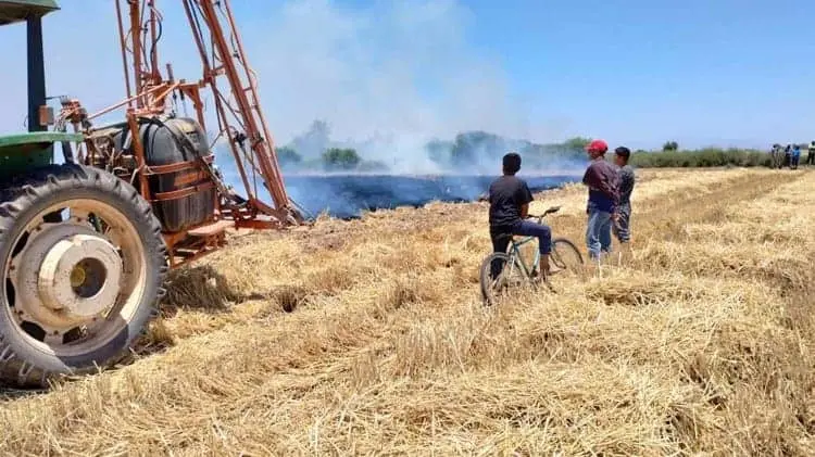 Se registra primer incendio al trigo