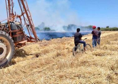 Se registra primer incendio al trigo