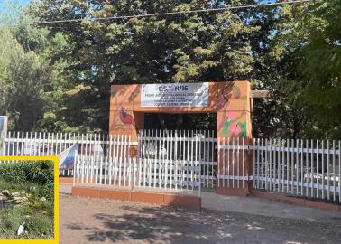 Piden "manita de gato" para plantel escolar