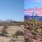 ¿Cuál es más grande, el desierto de Sonora o de Chihuahua?