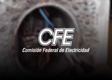 CFE: Estos son los estados en donde ya inició el operativo contra diablitos