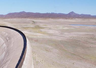 Por la sequía, aumenta mortandad de ganado