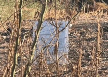 Multan por solares baldíos sucios