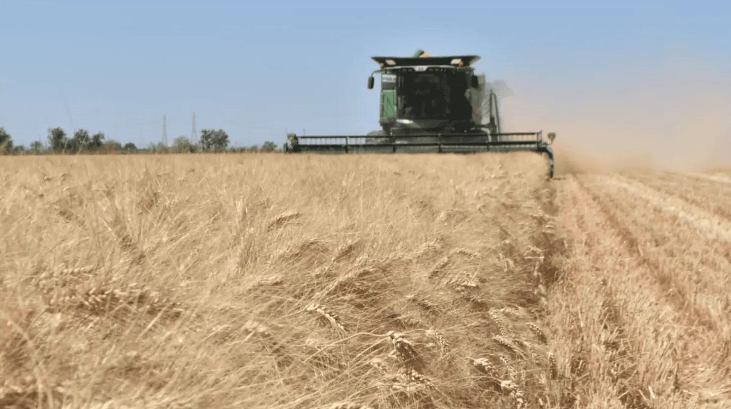 Afecta economía crisis del campo