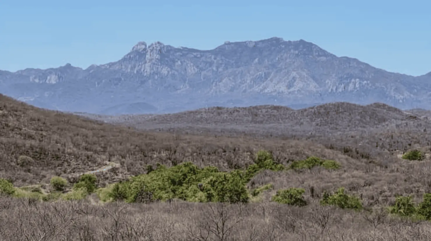 Destacan biodiversidad de reserva natural de Álamos