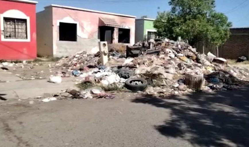 Habitantes de Ciudad Obregón convierten sus casas en basurero