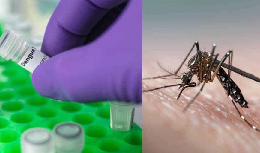 En Cajeme sin casos de dengue: Secretaría de Salud