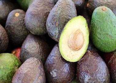 ¡Toma nota! Así puedes saber si un aguacate está maduro por dentro