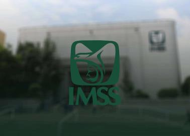 ¿Cuáles son los requisitos para registrar a tu pareja en el IMSS sin estar casado?