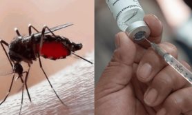 OMS aprueba nueva vacuna contra el dengue; es la segunda verificada por el organismo