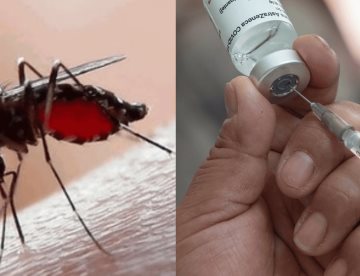 OMS aprueba nueva vacuna contra el dengue; es la segunda verificada por el organismo