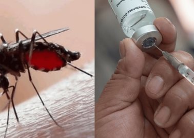 OMS aprueba nueva vacuna contra el dengue; es la segunda verificada por el organismo