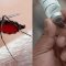 OMS aprueba nueva vacuna contra el dengue; es la segunda verificada por el organismo