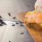 Con este remedio casero puedes acabar con las hormigas de tu hogar