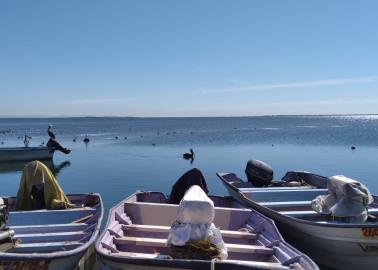 Permisos de pesca están por los cielos en el sur de Sonora