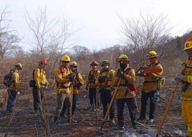 Bomberos de Cajeme apoyan al municipio de Quiriego en control de incendio forestal