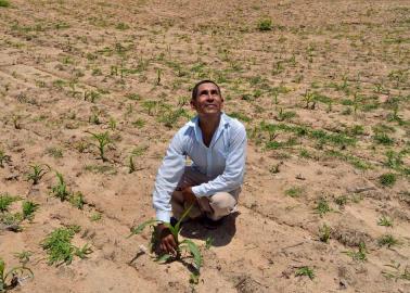 ¿Cuáles son las consecuencias de que haya sequía en el sector agrícola? Esto sabemos