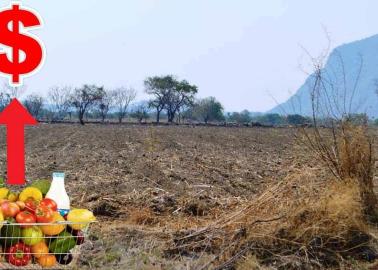 ¿Qué productos podrían incrementar por el calor y la sequía en México?