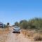 Muere hombre atropellado en la carretera Caborca - Desemboque, en Sonora