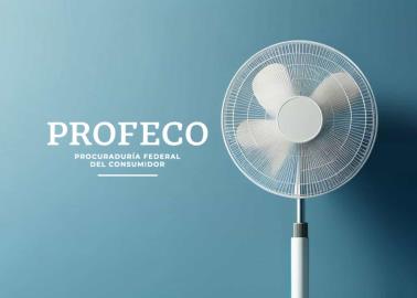 Profeco: Este es el abanico de marca mexicana más eficiente y de menor precio Profeco: Este es el abanico de marca mexicana más eficiente y de menor precio