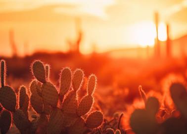 ¿Cuándo termina la tercera ola de calor que actualmente afecta a México? Esto sabemos