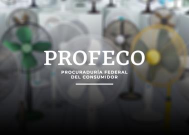 ¿Es mejor un abanico de pedestal o uno de piso? Esto dice la Profeco ¿Es mejor un abanico de pedestal o uno de piso? Esto dice la Profeco