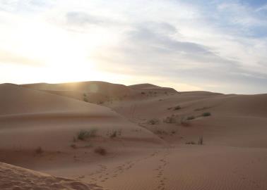 Tres datos que desconocías del Desierto de Sonora, uno de los lugares más calientes del mundo