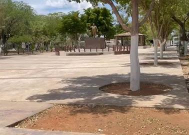 VIDEO | De verdes campos de cultivo a la primera colonia del sur en Ciudad Obregón VIDEO | De verdes campos de cultivo a la primera colonia del sur en Ciudad Obregón