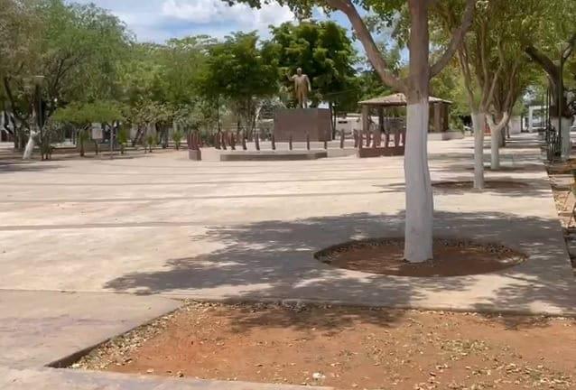 VIDEO | De verdes campos de cultivo a la primera colonia del sur en Ciudad Obregón