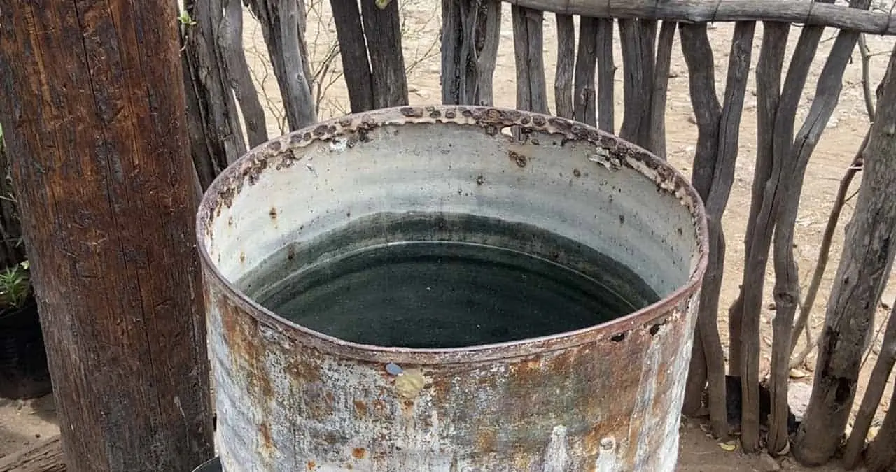 Álamos, con poca agua