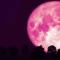 Superluna de Fresa 2024: ¿Cuándo podrás apreciar este maravilloso fenómeno?