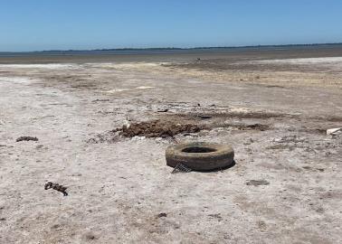 Industrias contaminan Bahía de Yavaros en Huatabampo