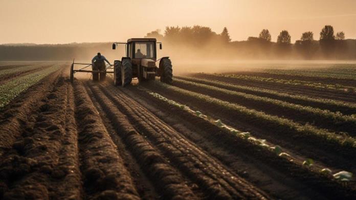 ¿Pueden las nuevas tecnologías ayudar al sector agrícola? ¿Pueden las nuevas tecnologías ayudar al sector agrícola?