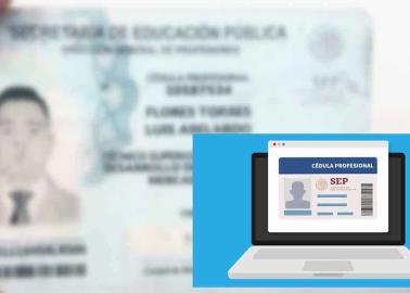 ¿Cuál es la importancia de contar con la cédula profesional en México?