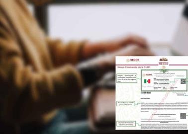Imprime tu CURP desde casa, sigues estos sencillos pasos