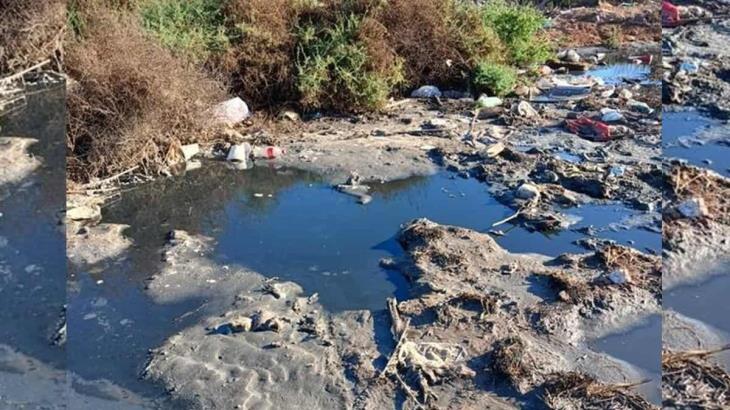Día Mundial del Medio Ambiente: Ecologistas lamentan que vayan de mal en peor en el sur de Sonora