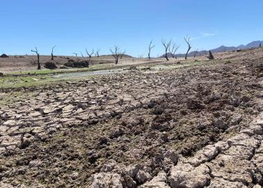 Escasea agua en los ranchos del sur de Sonora