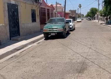 Un cerco de árboles dio vida a la colonia Cortinas 