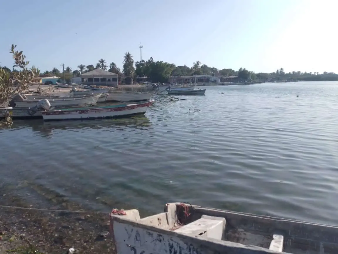 Pescadores de Yavaros esperan apoyo de Claudia Sheinbaum 