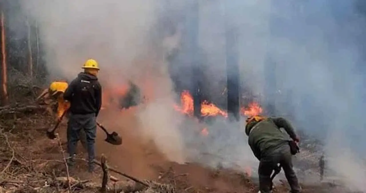 Sierra Tarahumara se encuentra en peligro por incendios forestales