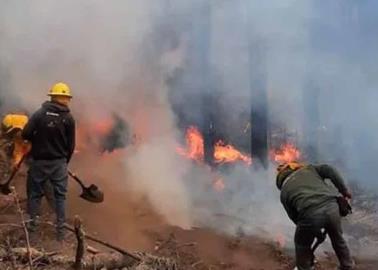 Sierra Tarahumara se encuentra en peligro por incendios forestales