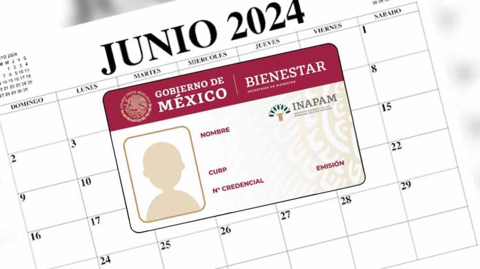 Tarjeta Inapam, ¿cuáles son los beneficios y descuentos en junio del 2024? Tarjeta Inapam, ¿cuáles son los beneficios y descuentos en junio del 2024?