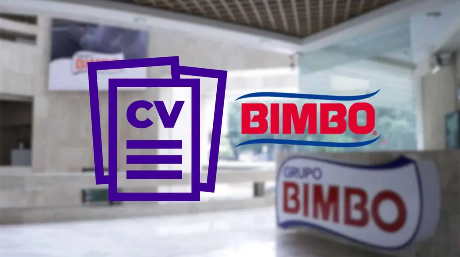 Bimbo abre vacantes con sueldos de hasta 42 mil pesos ¿Cómo aplicar?