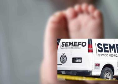 Mientras estacionaba su auto, abuelo atropella a su nieto de un año