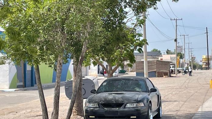 Buscan mitigar las islas de calor en Cajeme reforestando con especies endémicas